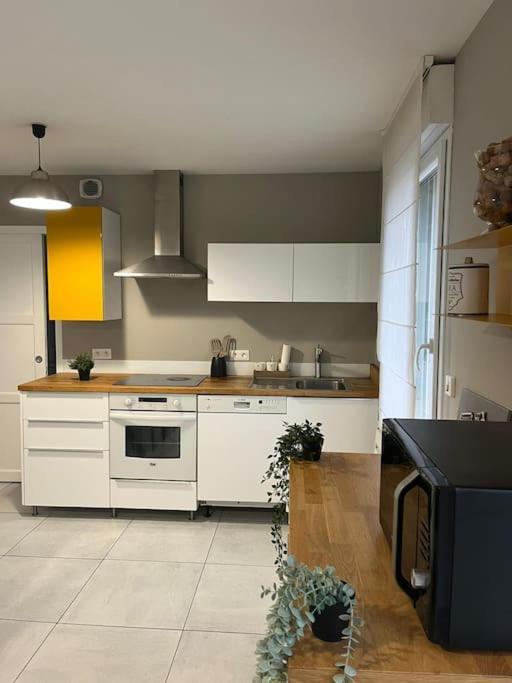La Maison Du Bonheur 70 M² Saint-Amand-les-Eaux Eksteriør bilde