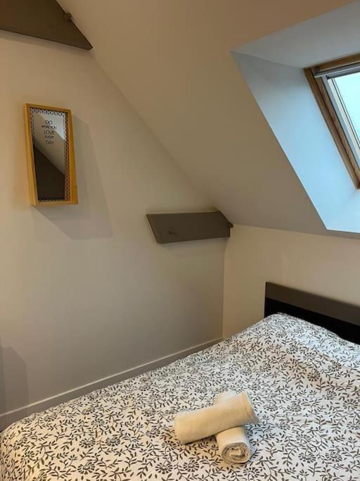 La Maison Du Bonheur 70 M² Saint-Amand-les-Eaux Eksteriør bilde