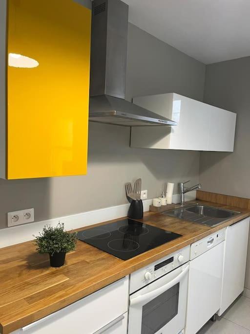 La Maison Du Bonheur 70 M² Saint-Amand-les-Eaux Eksteriør bilde